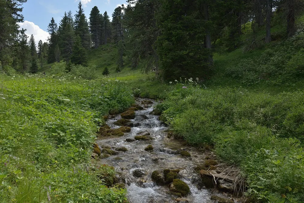 Selva, Dolomites, Italy