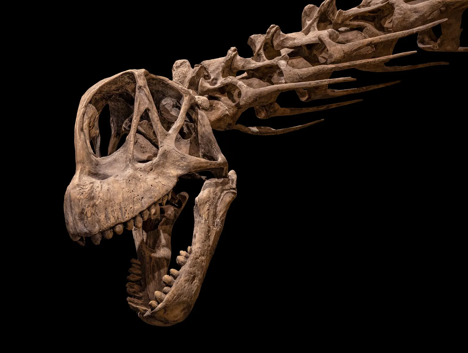 Royal Tyrrell Museum of Palaeontology, Drumheller, Alberta, Canada