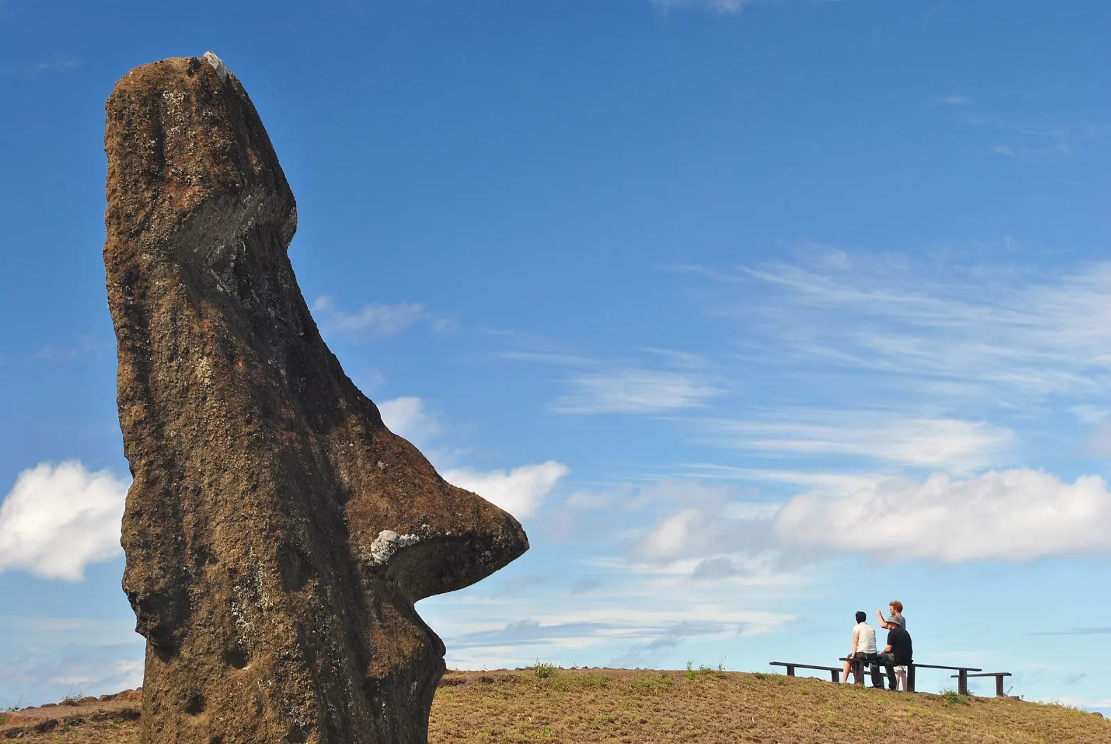 Moai heads emerging from the grassy slopes of the Rano Raraku quarry, Easter Island, Chile