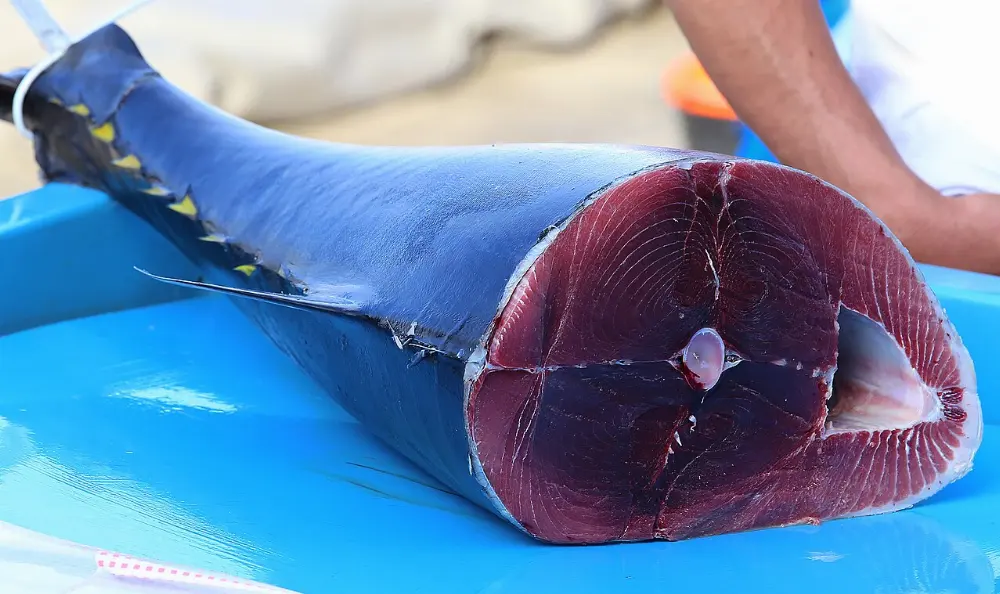 Tuna in Easter Island, Chile
