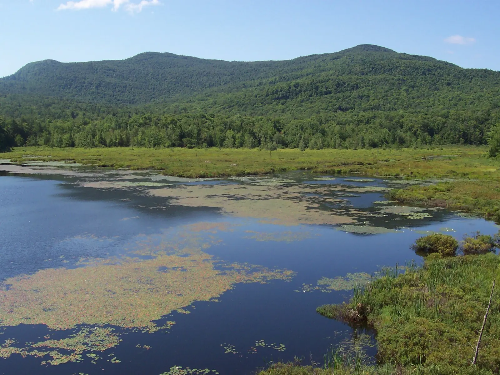 Forested slopes of Mont Orford in the Eastern Townships, Quebec