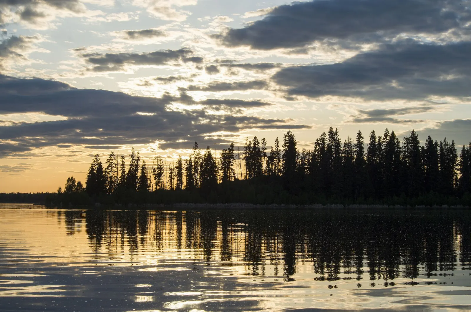 Calm water and shoreline at Astotin Lake, Elk Island National Park, Alberta