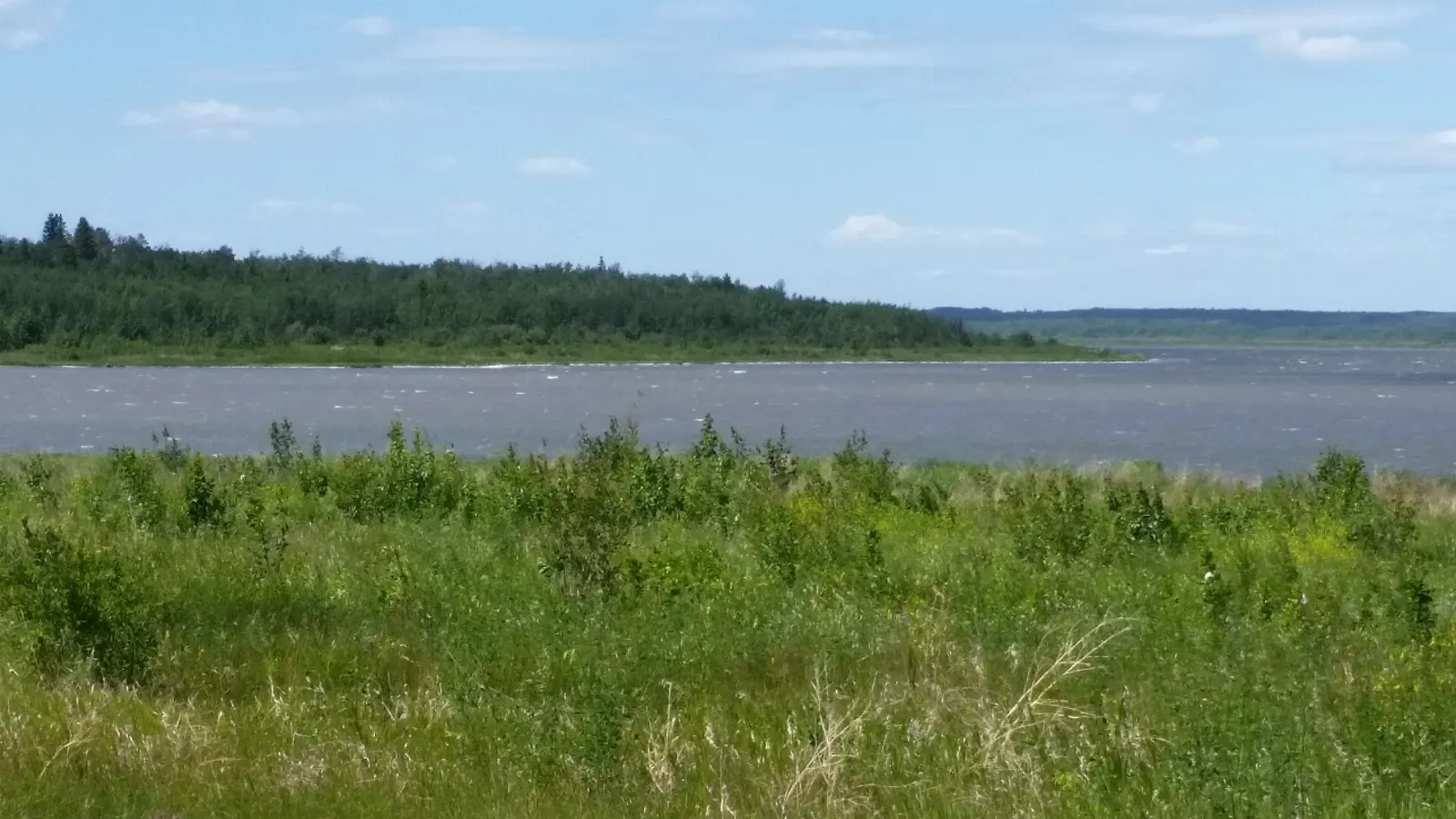 Shoreline at Miquelon Lake Provincial Park in Alberta, Elk Island National Park, Alberta