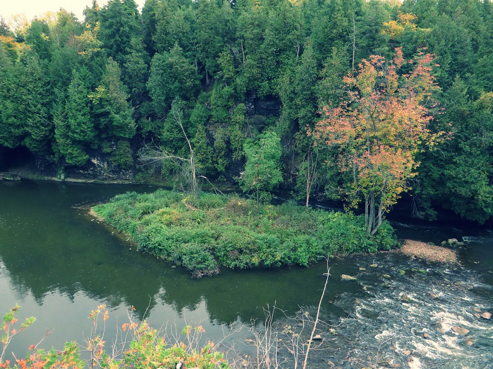 Swimmers in the water-filled Elora Quarry below tall limestone walls, Ontario