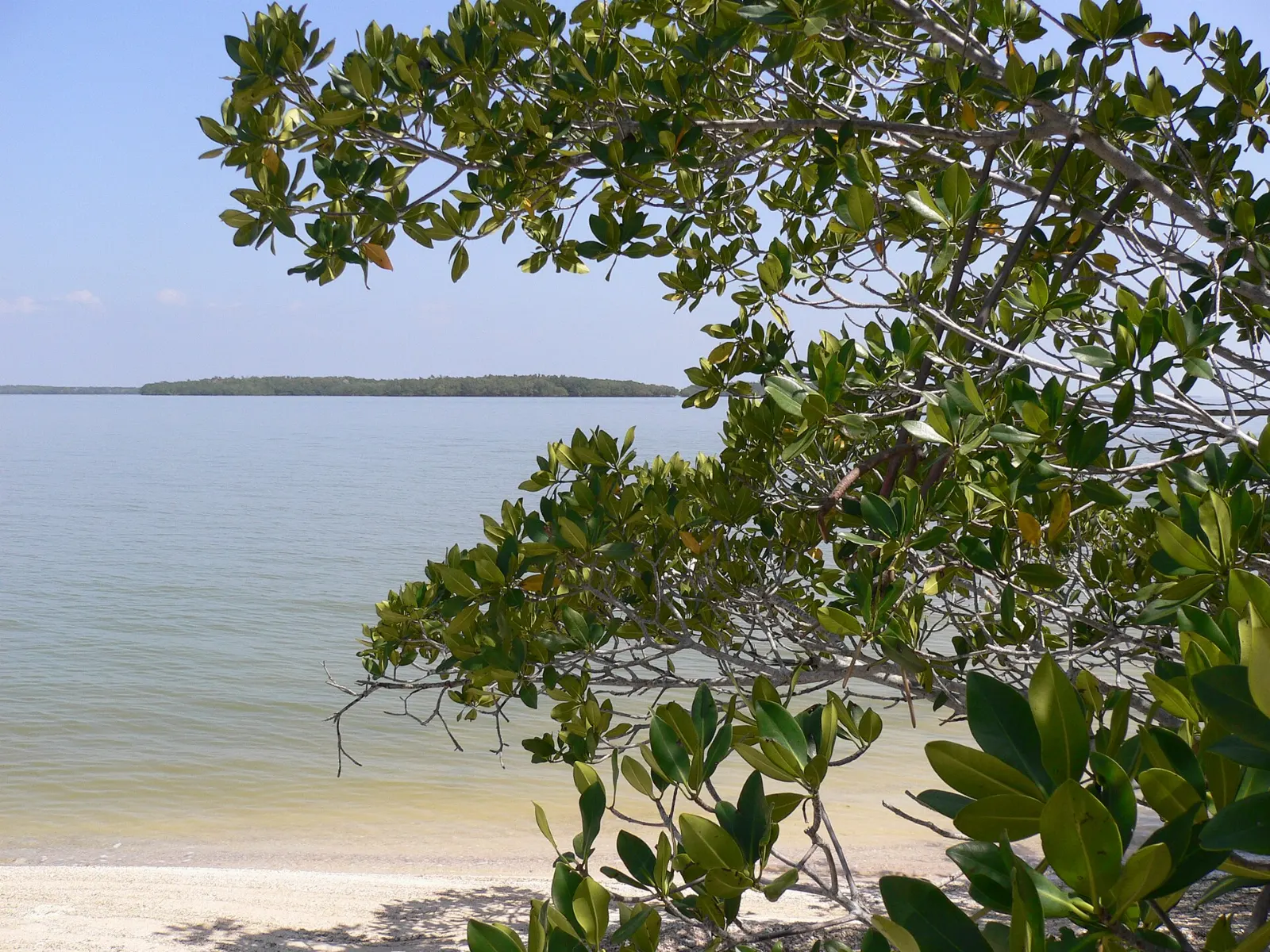 Ten Thousand Islands Boat Tours, Everglades National Park, Florida, United States