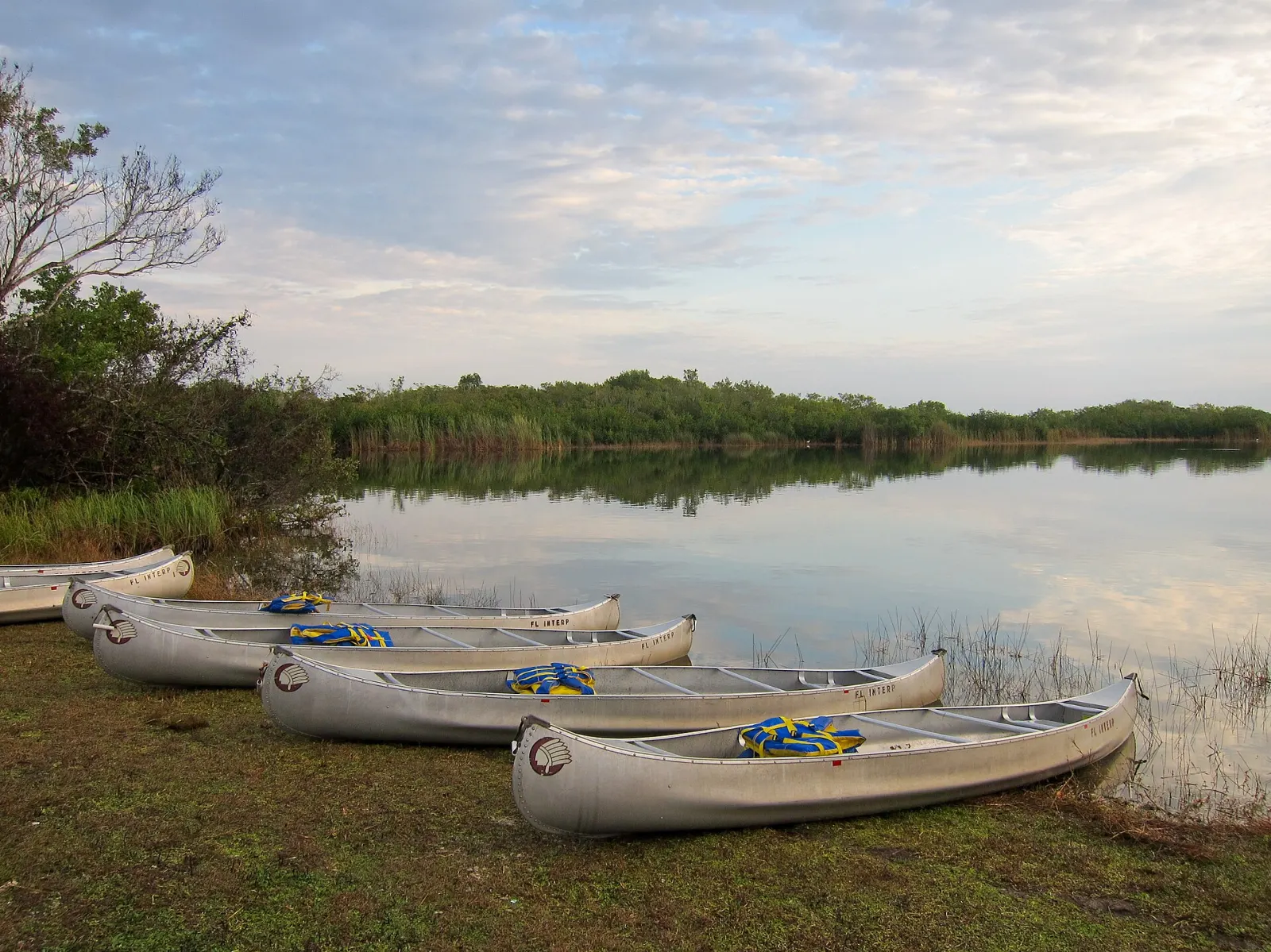 Nine Mile Pond and the West Lake Trail, Everglades National Park, Florida, United States