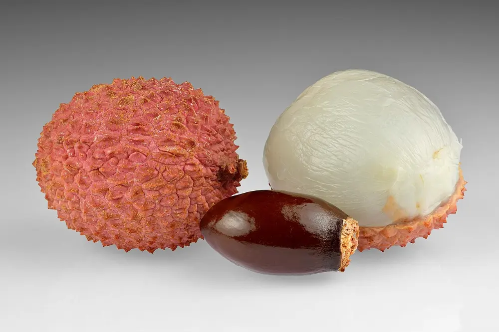 Lychees in Everglades National Park, Florida