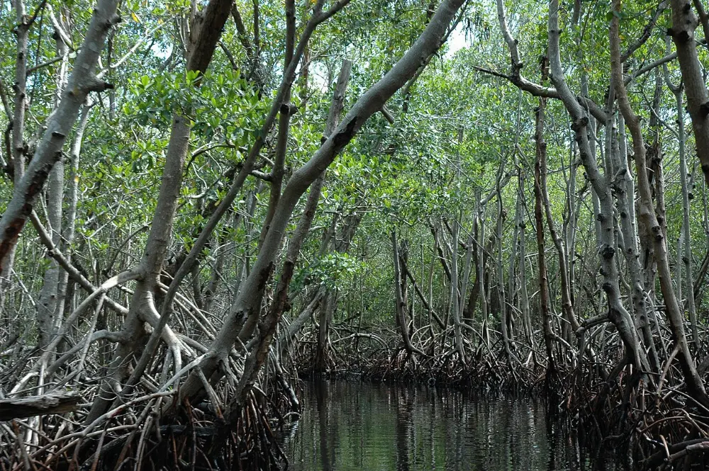 Florida City, Everglades National Park