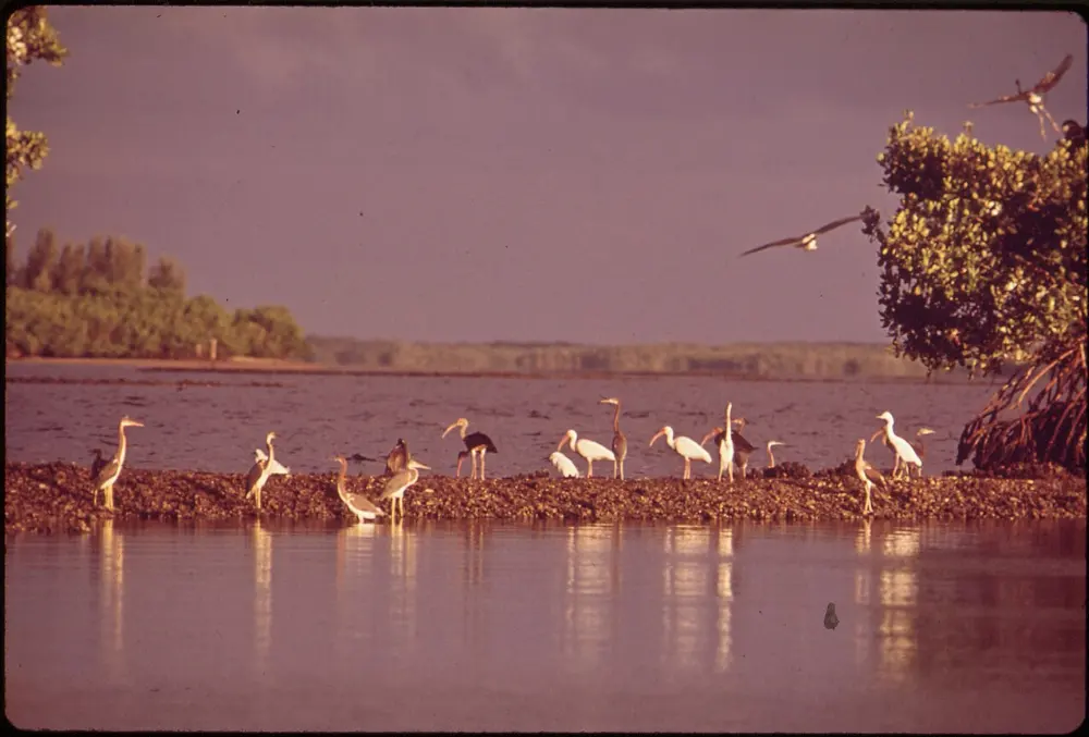 Chokoloskee, Everglades National Park, Florida