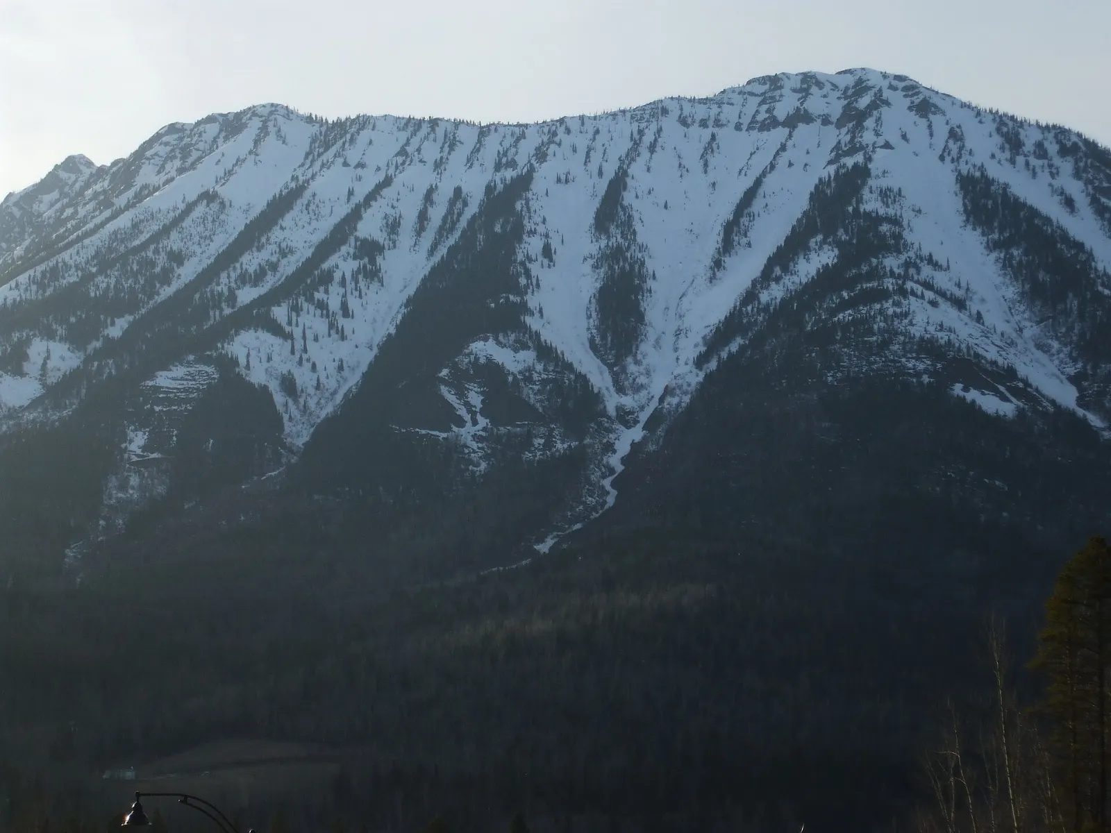 Forest trail in Mount Fernie Provincial Park, British Columbia