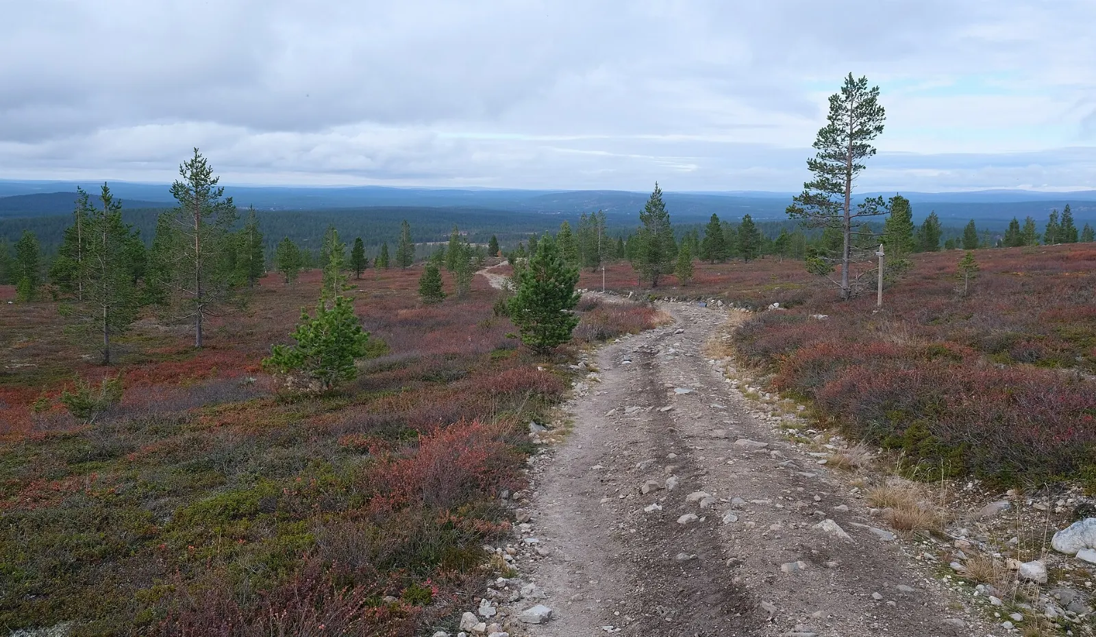 Pallas-Yllästunturi National Park, Finnish Lapland, Finland