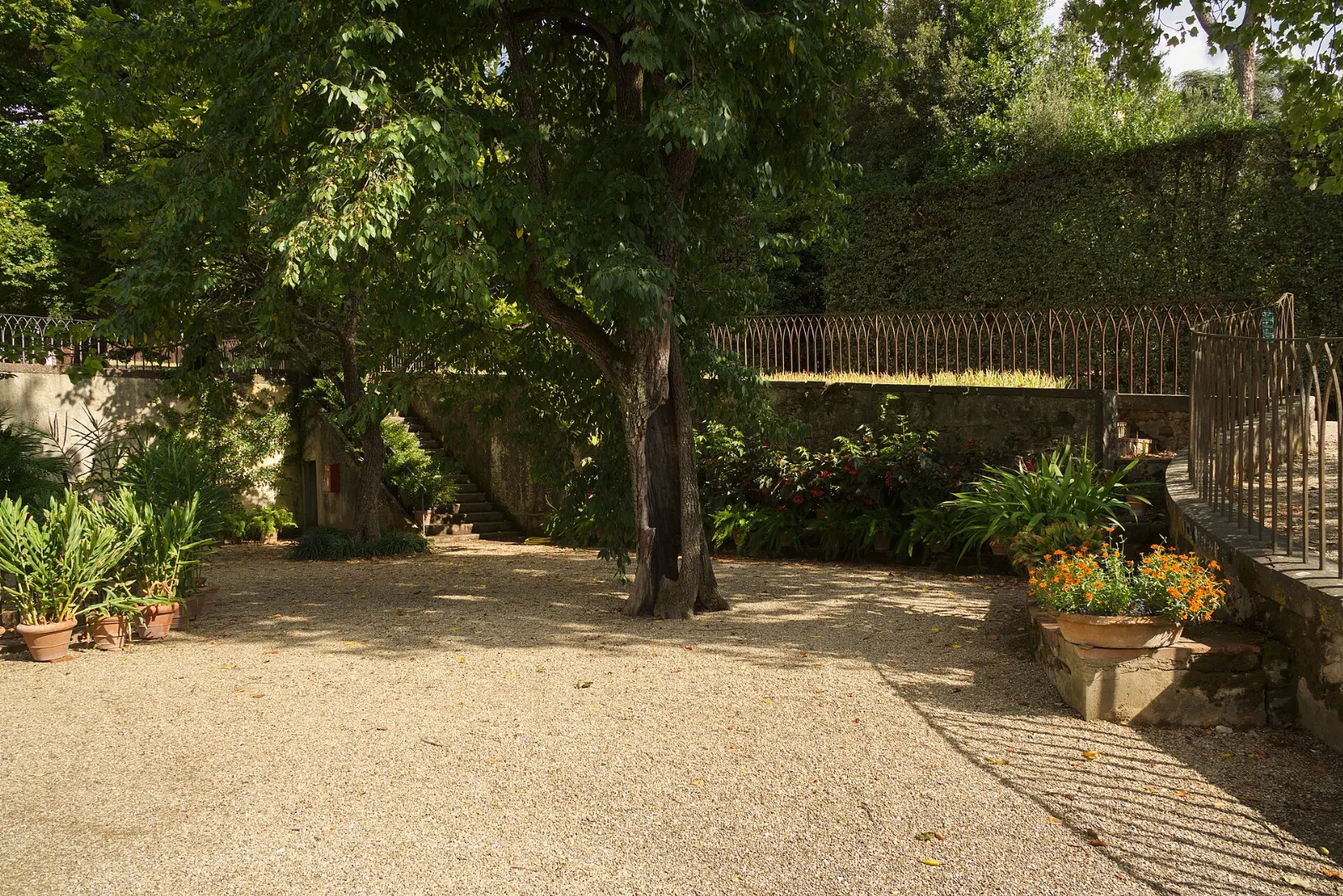 Terraced lawns and statues in the Boboli Gardens behind Palazzo Pitti, Florence, Italy