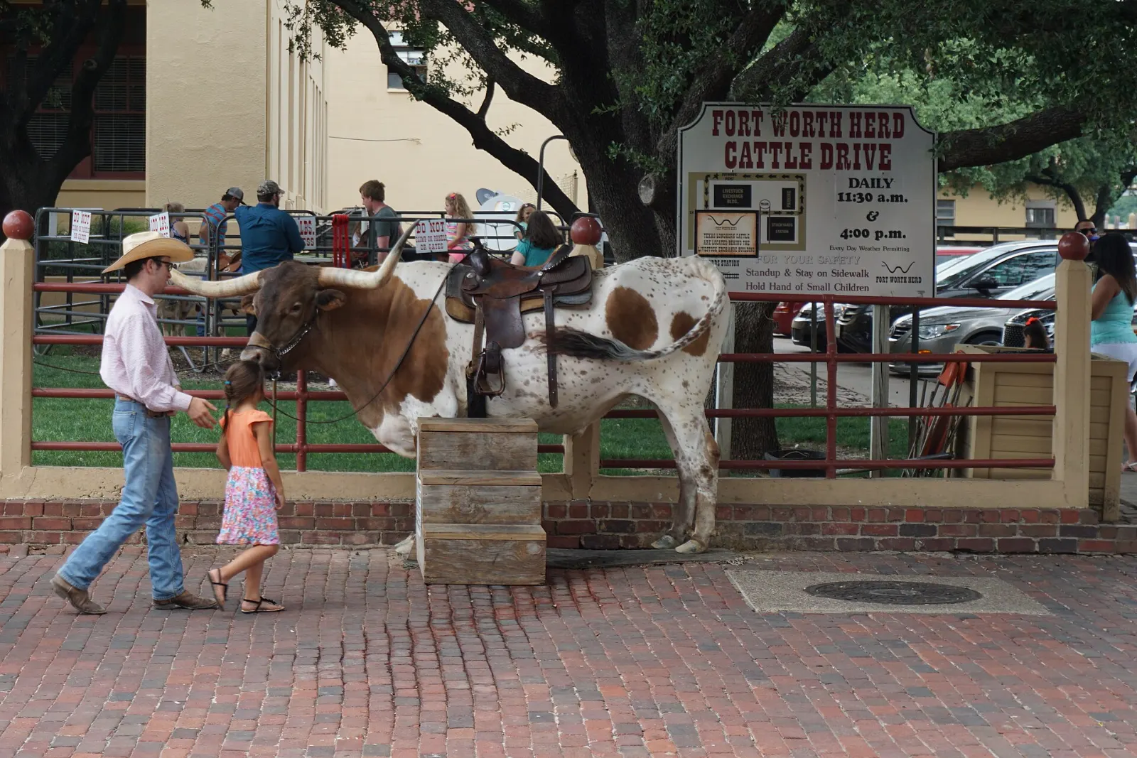 Longhorn cattle drive in the Stockyards, Fort Worth, Texas