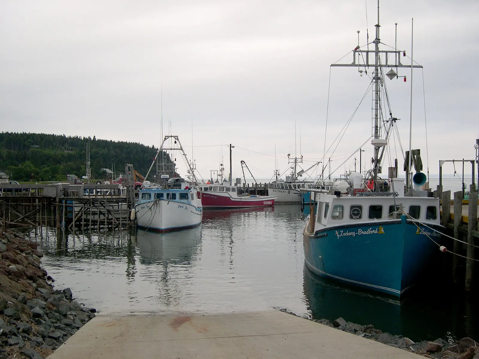 Fundy National Park, New Brunswick, Canada