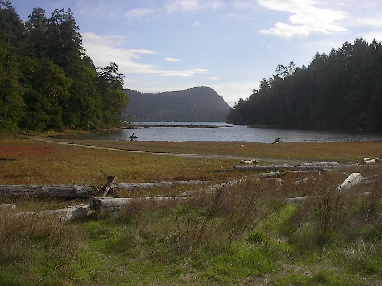 Shell Beach at Montague Harbour Marine Provincial Park, Galiano Island, British Columbia