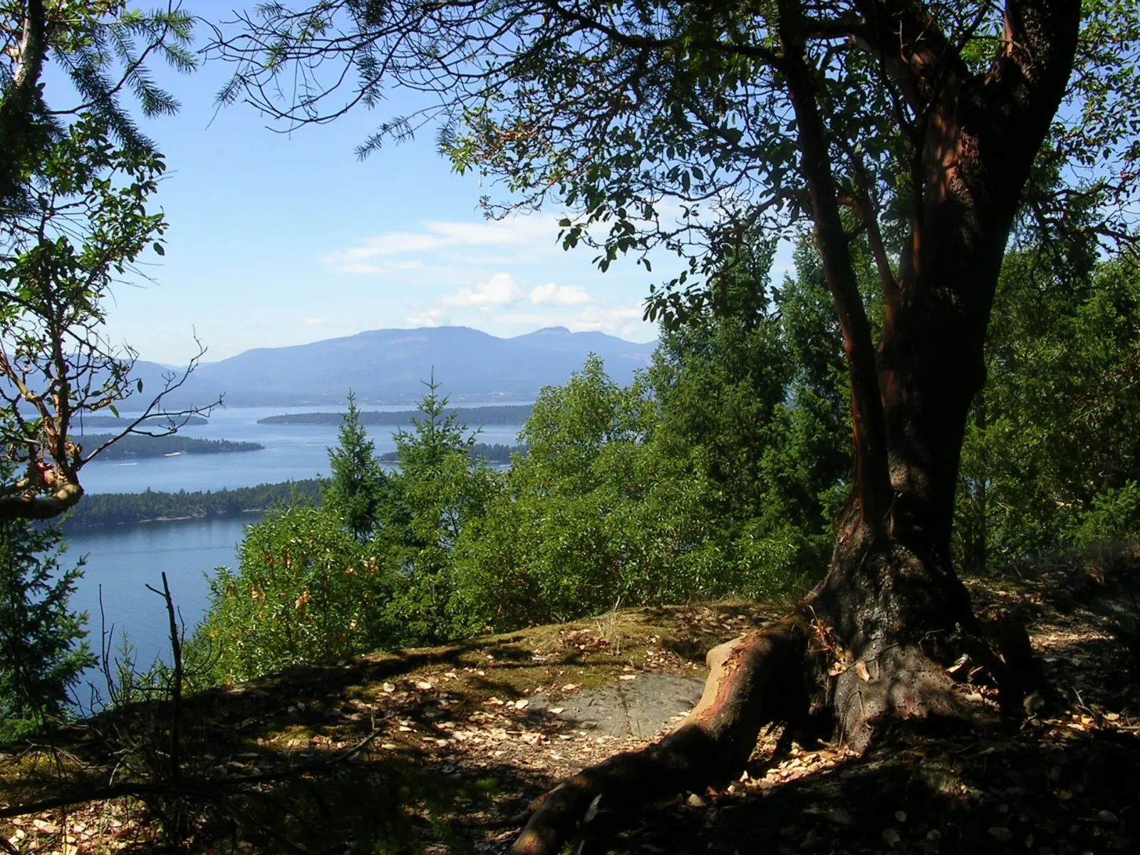 View from Bodega Ridge on Galiano Island, British Columbia