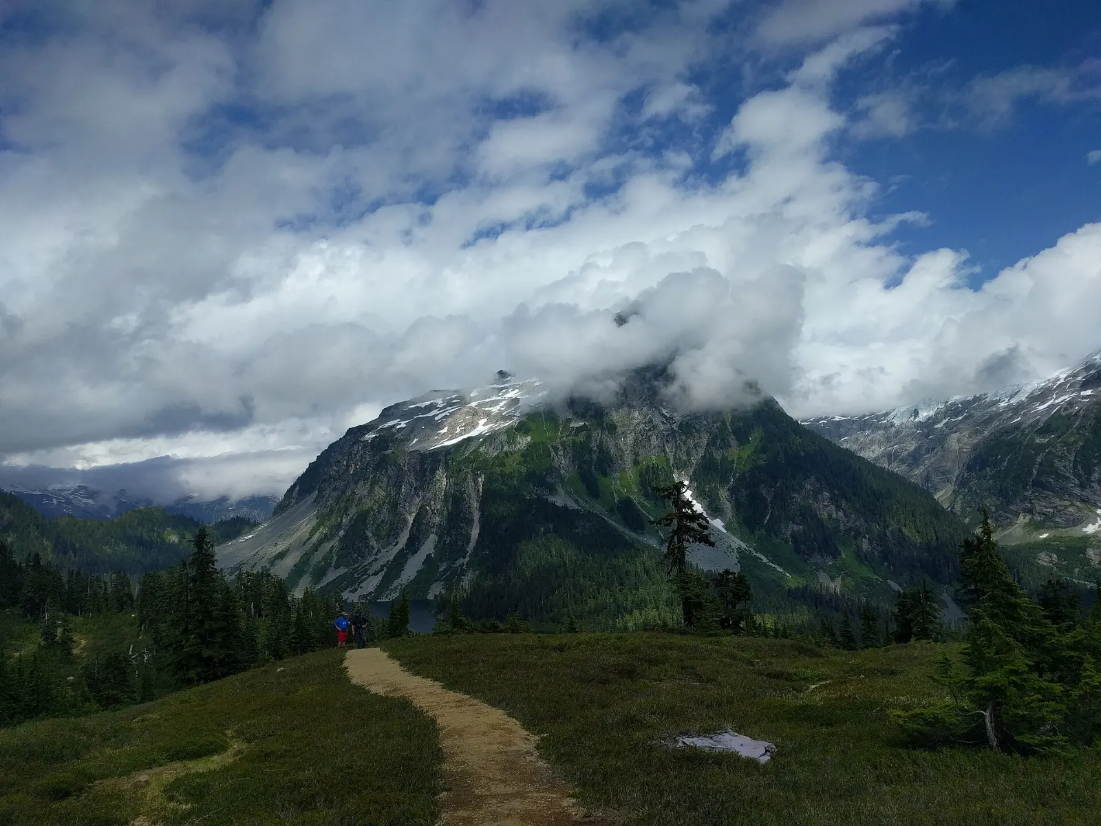 Forest trail with switchbacks leading toward Garibaldi Lake, Garibaldi Provincial Park, British Columbia