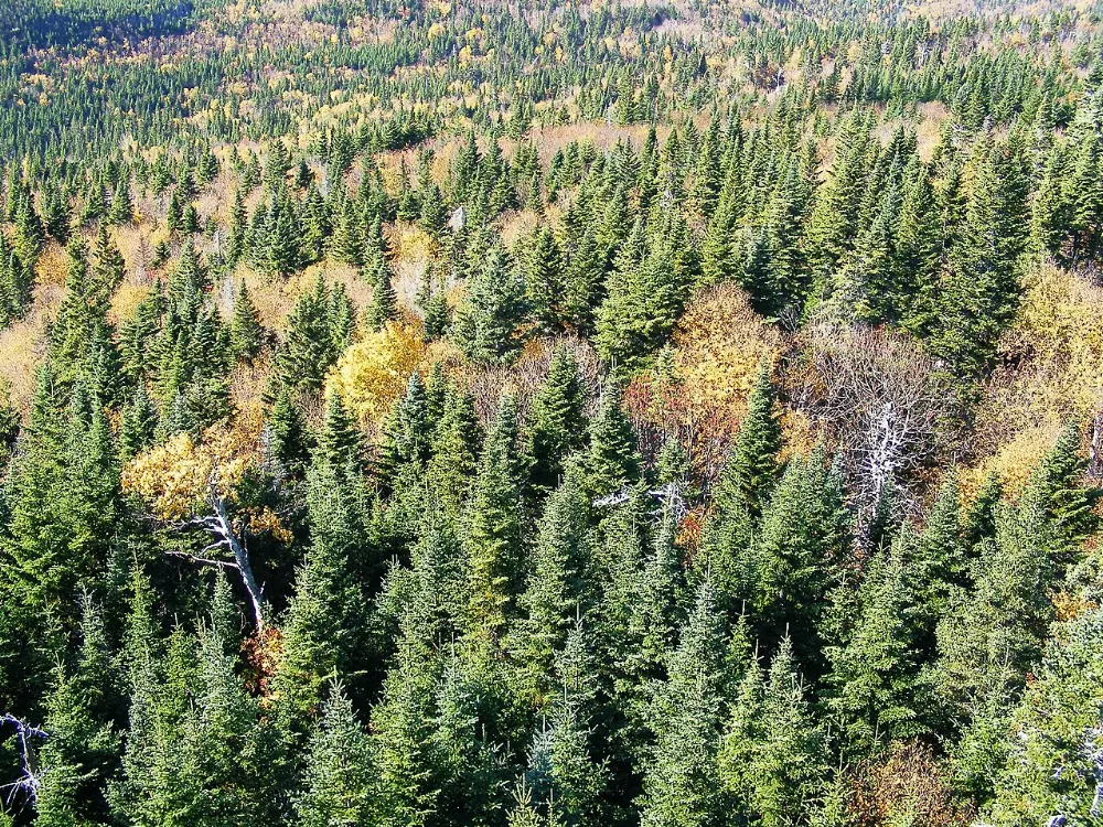 Gaspé, Gaspé Peninsula, Quebec