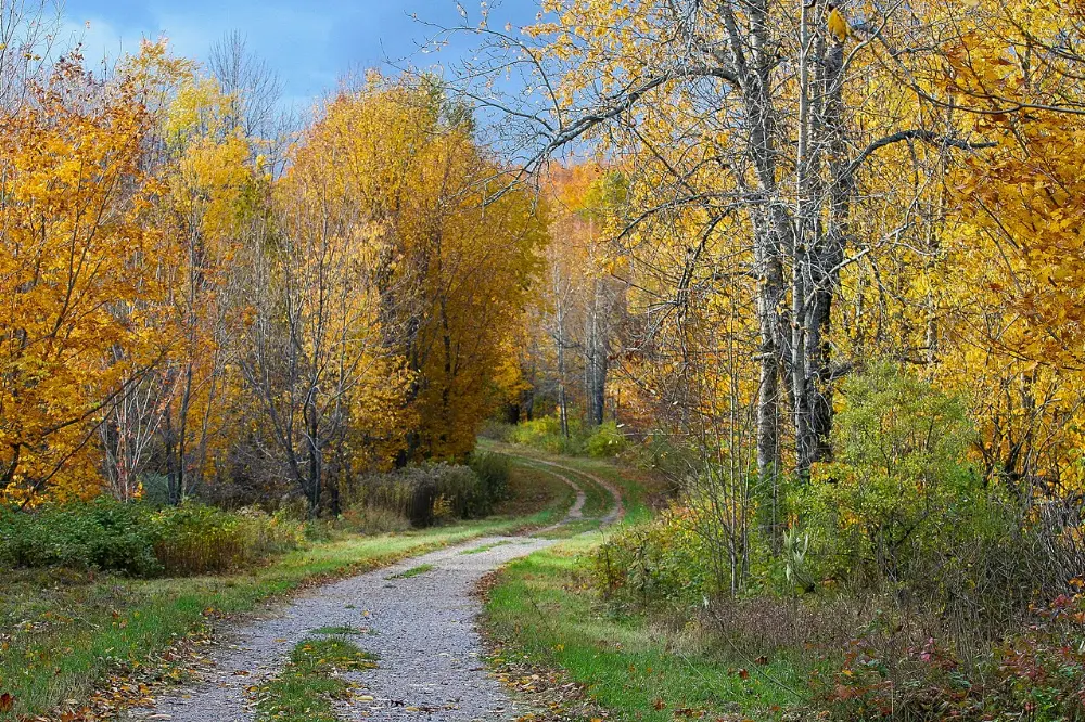 Chelsea, Gatineau Park, Quebec