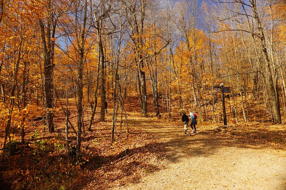 Gatineau, Gatineau Park, Quebec