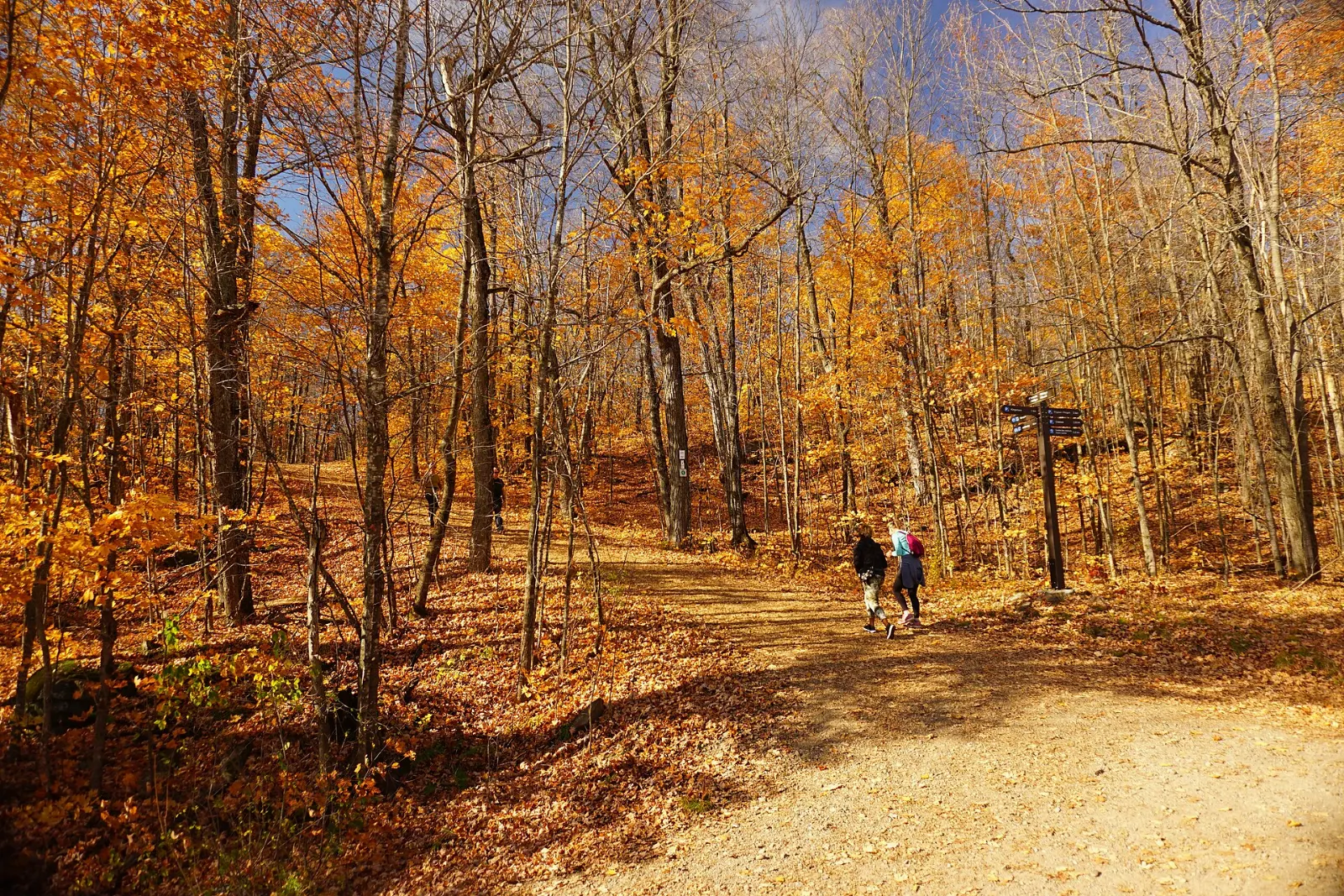 Promenade du Portage, Gatineau, Quebec, Canada