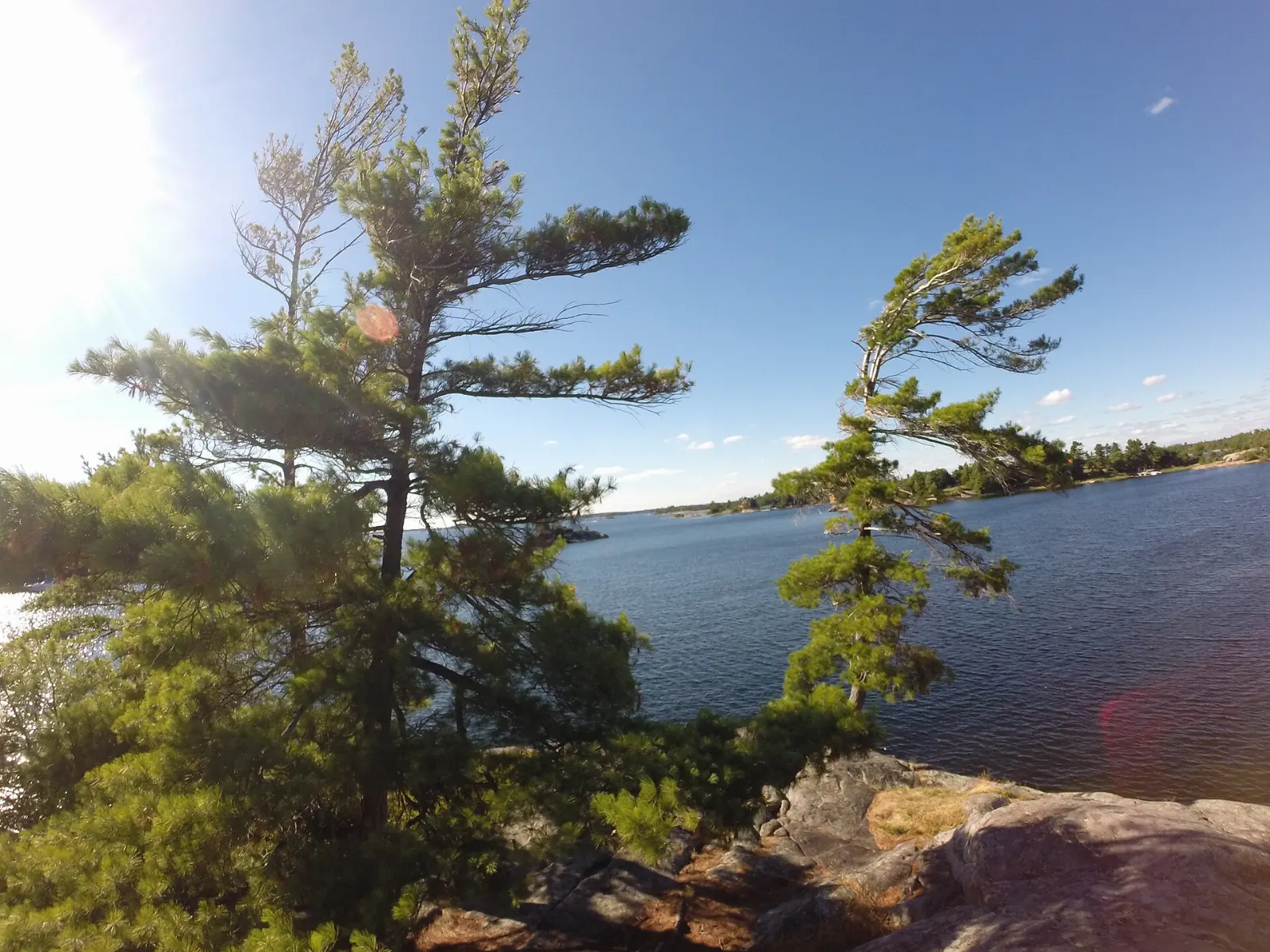 Woodland shoreline on Beausoleil Island, a National Historic Site of Canada, Georgian Bay Islands National Park, Ontario