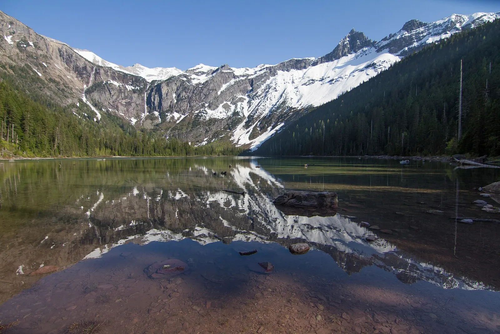 Waterfalls streaming down cliffs into the turquoise water of Avalanche Lake, Glacier National Park, Montana