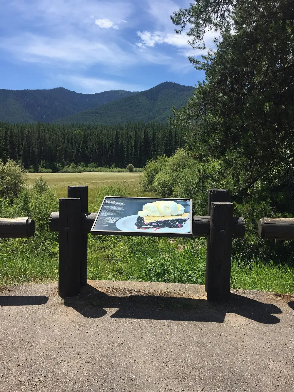 Huckleberries in Glacier National Park, Montana