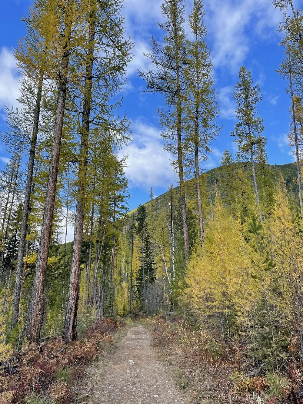 Apgar, Glacier National Park, Montana