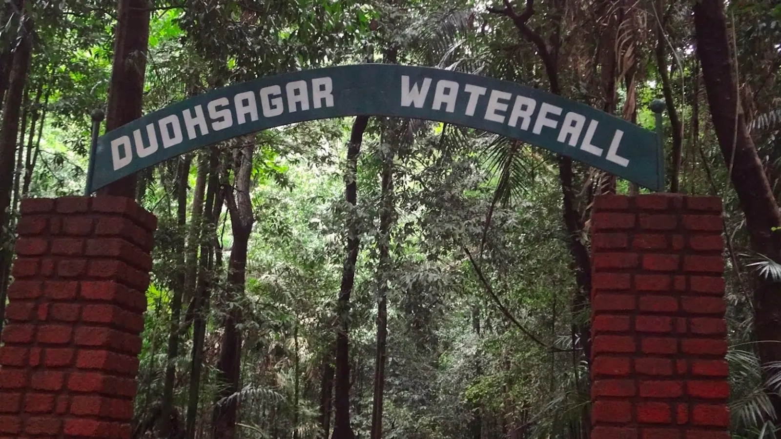 Dudhsagar Falls, Goa, India