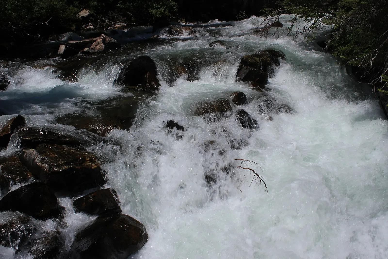 A tall cascade tumbling through a forested canyon above Jenny Lake, Grand Teton National Park, Wyoming