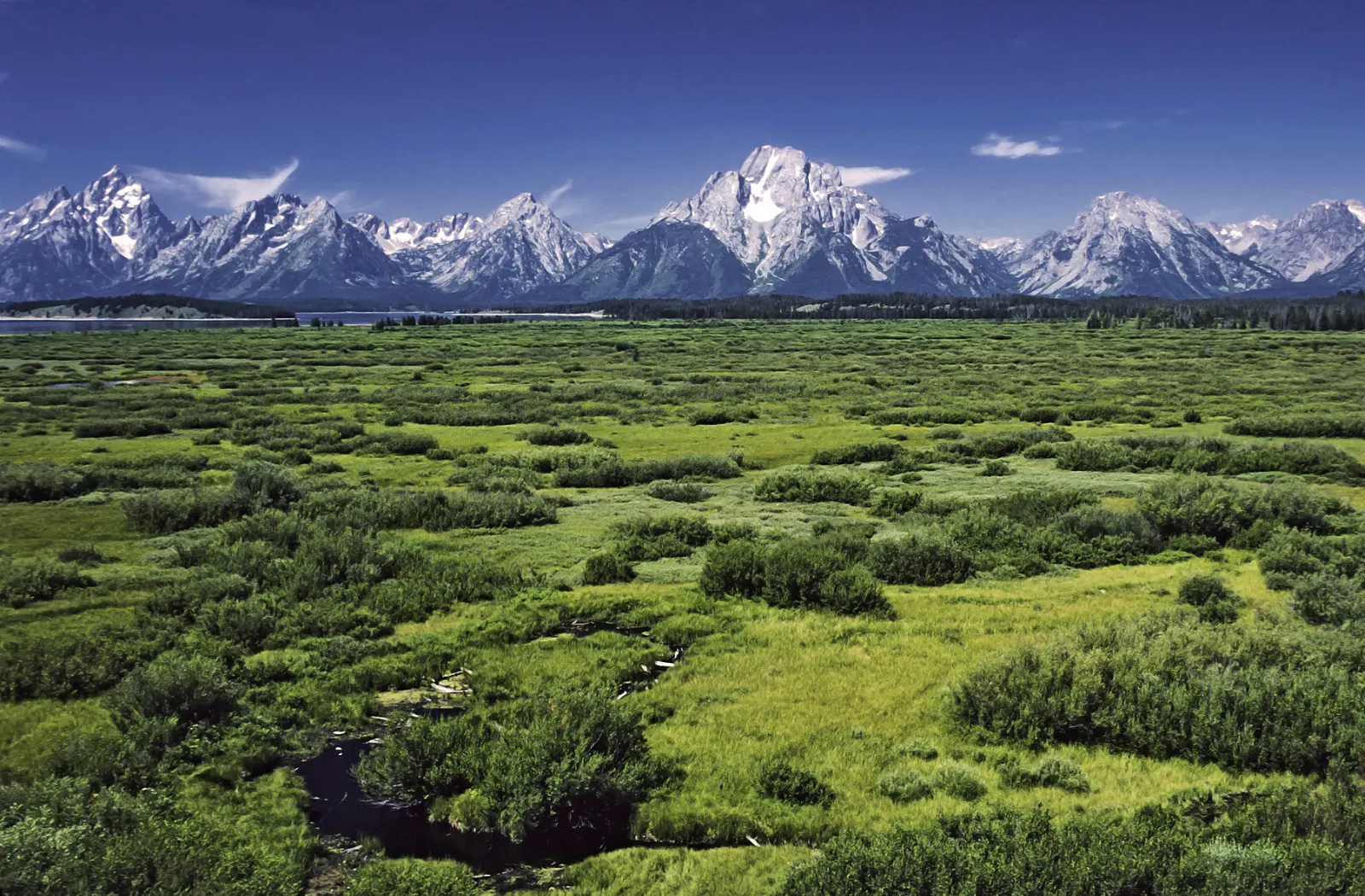 Paddlers on the shallow, turquoise water of String Lake with mountains behind, Grand Teton National Park, Wyoming