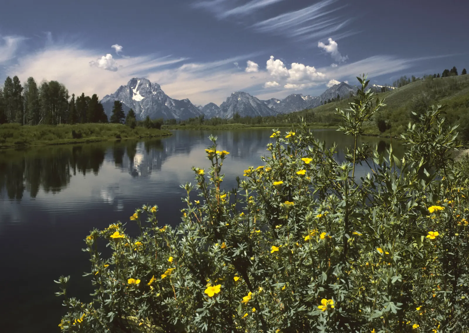Mount Moran reflected in a calm bend of the Snake River surrounded by golden aspens, Grand Teton National Park, Wyoming
