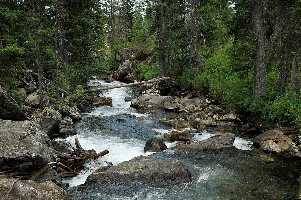 Jenny Lake, Grand Teton National Park, Wyoming