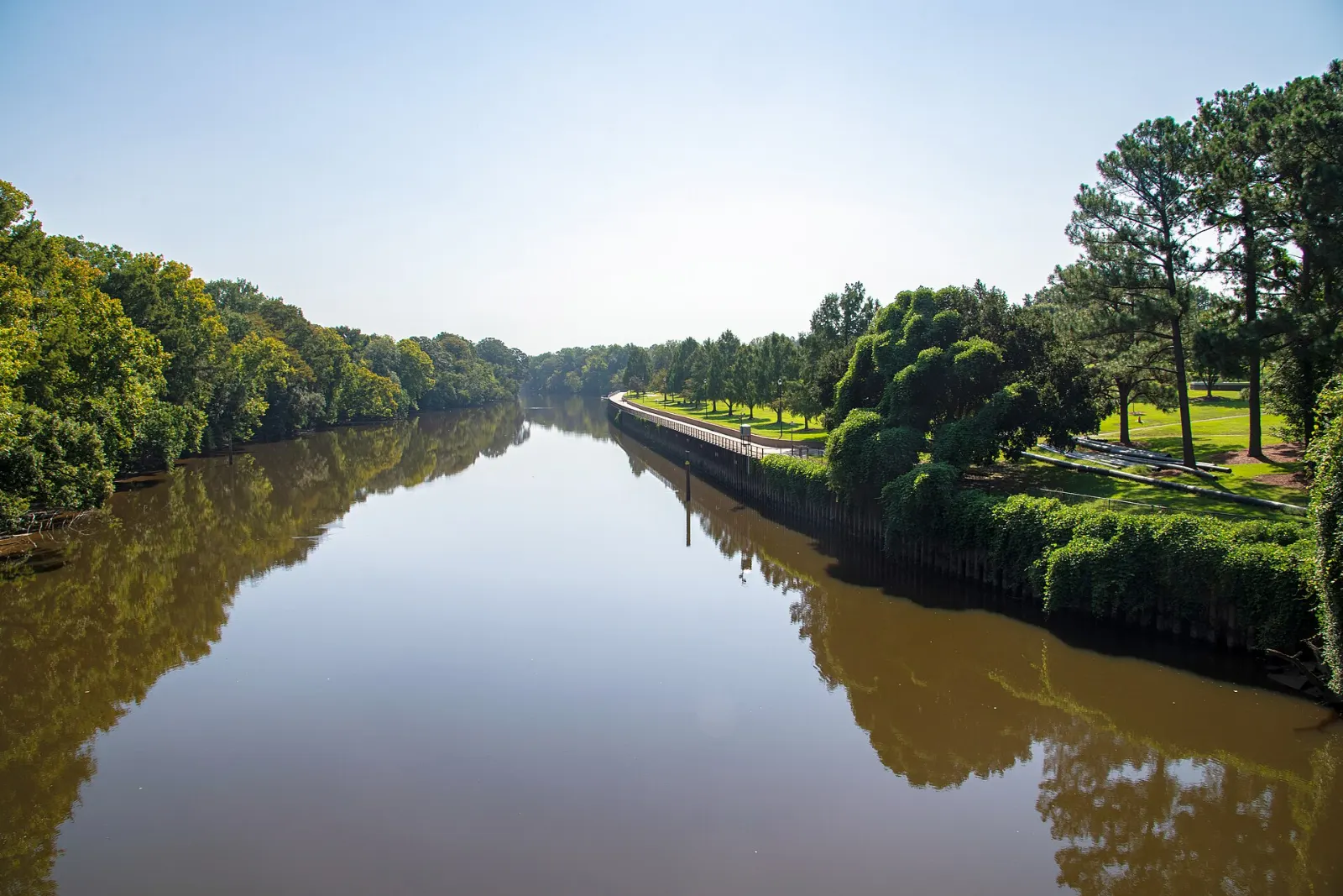 The Tar River near Greenville, North Carolina
