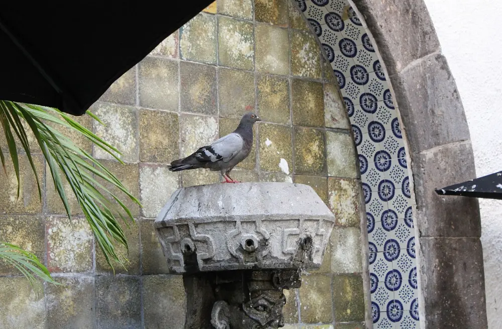 Tlaquepaque, Guadalajara, Jalisco
