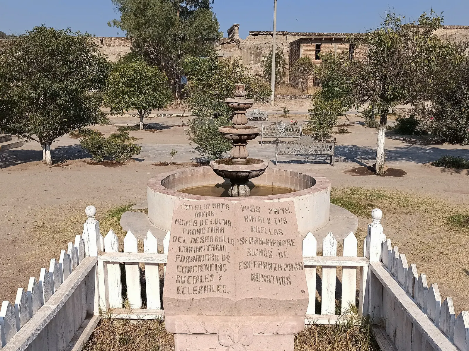 Trimmed trees and cafe tables in the Jardín de la Unión, Guanajuato City, Guanajuato