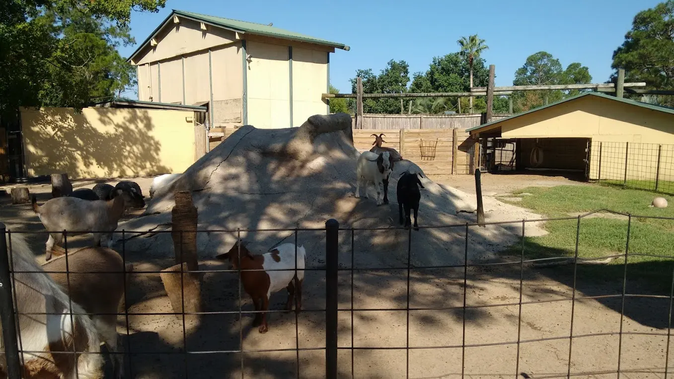 Animal habitat at the Alabama Gulf Coast Zoo in Gulf Shores