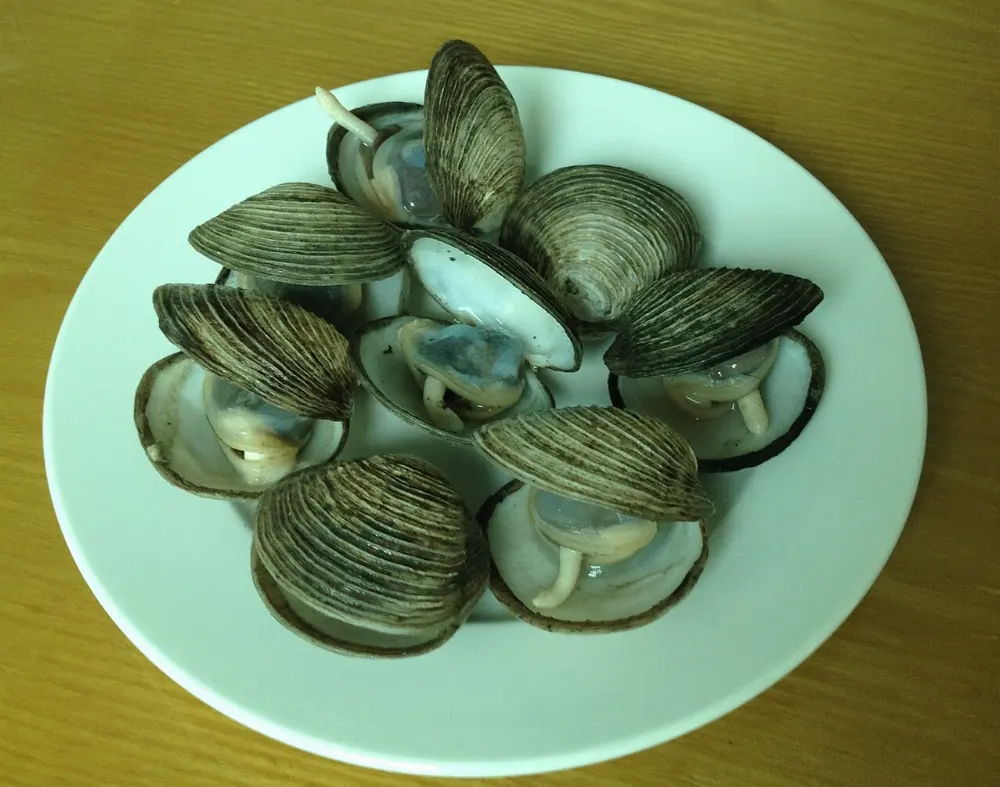 Seafood in Ha Long Bay, Vietnam