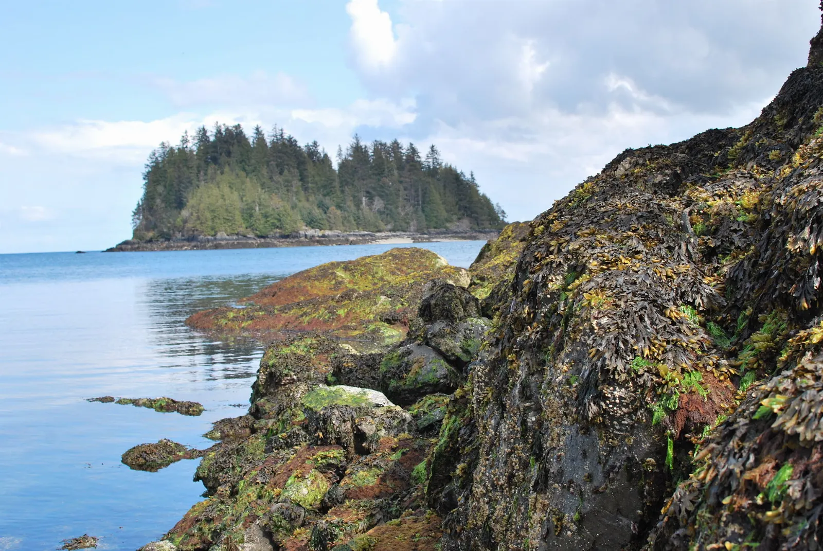 Ferry arriving at Skidegate on Graham Island, Haida Gwaii, British Columbia