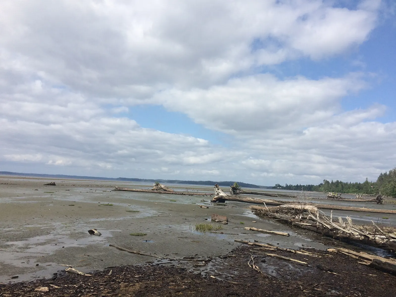 Port Clements on Masset Inlet, Haida Gwaii, British Columbia