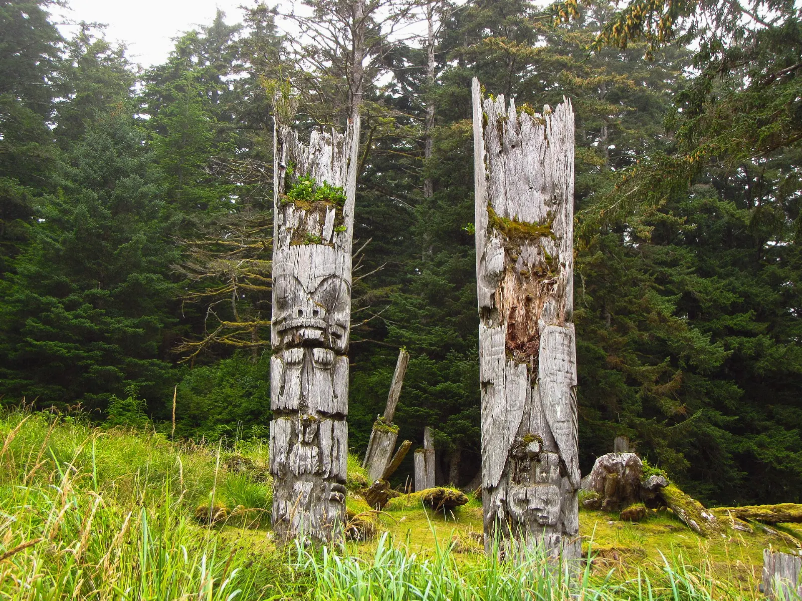 Weathered Haida totem poles standing at SGang Gwaay, Haida Gwaii, British Columbia