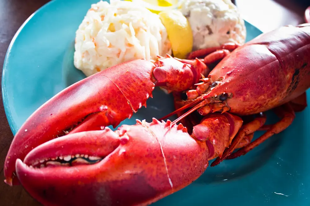 Lobster in Halifax, Nova Scotia