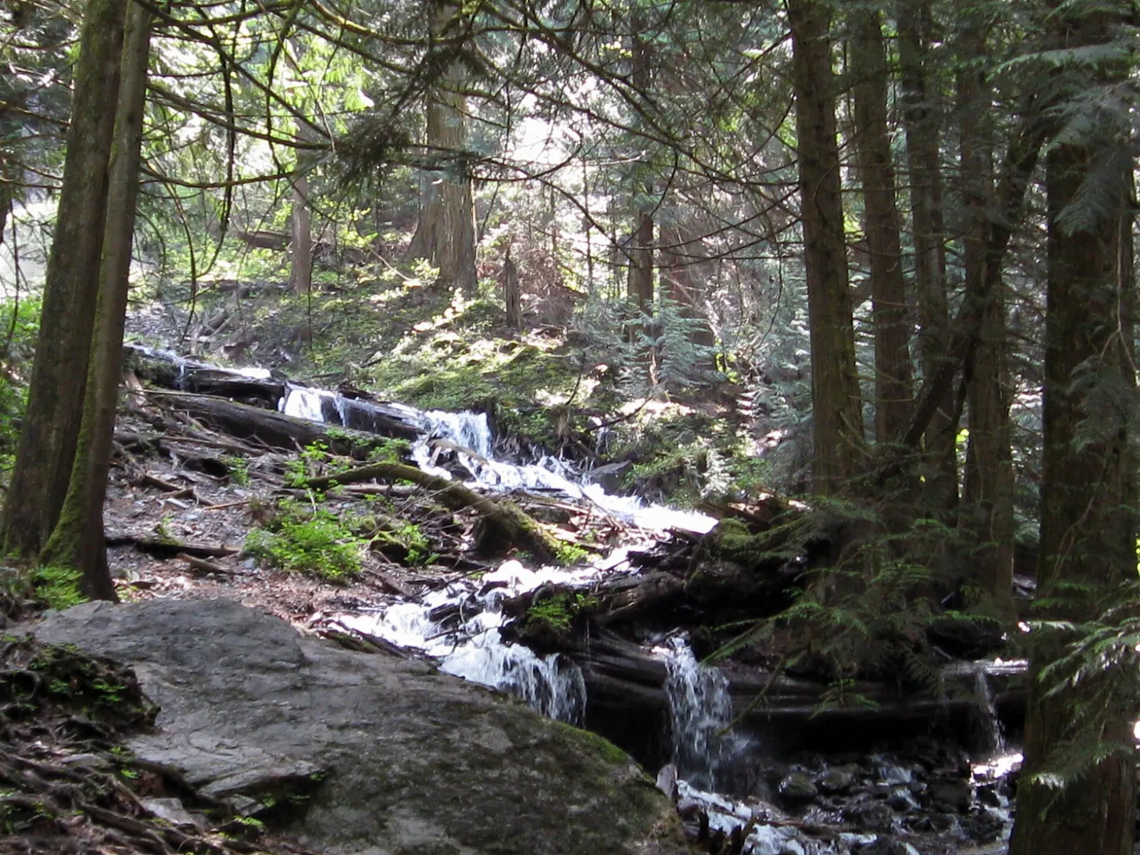 Bridal Veil Falls dropping through forest near Agassiz, Harrison Hot Springs, British Columbia