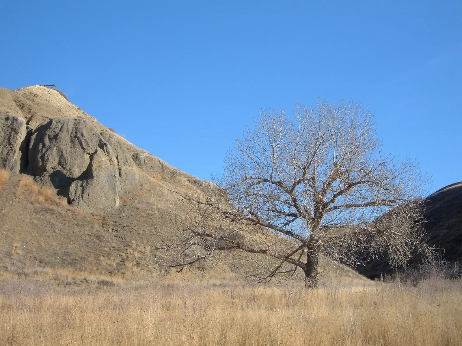 Coulees and the Oldman River valley near Lethbridge, Head-Smashed-In Buffalo Jump, Alberta