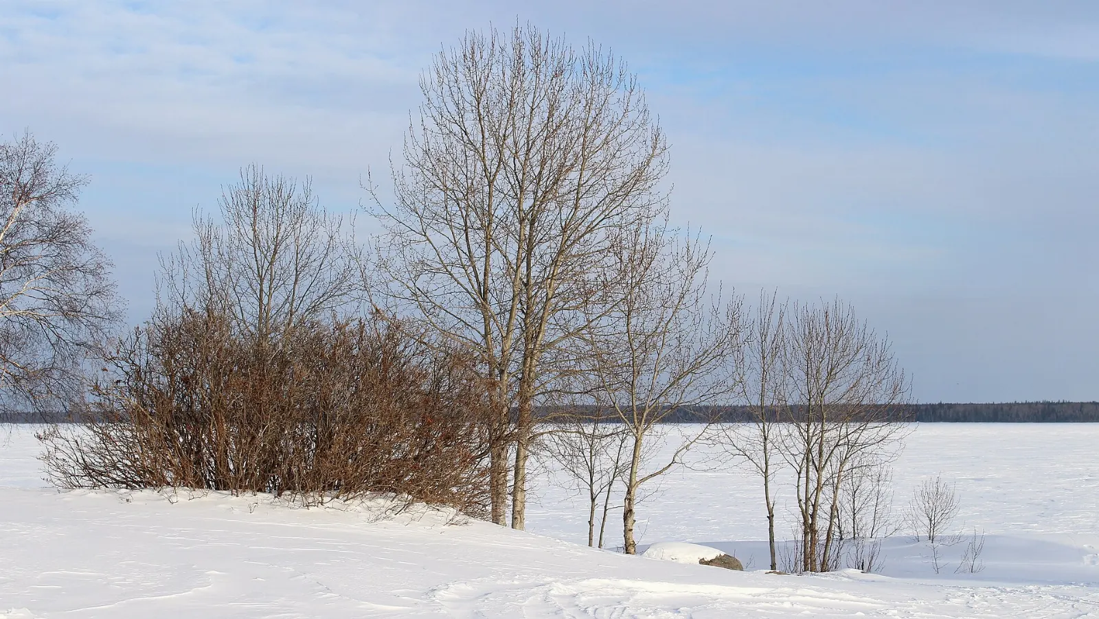 Hecla Island