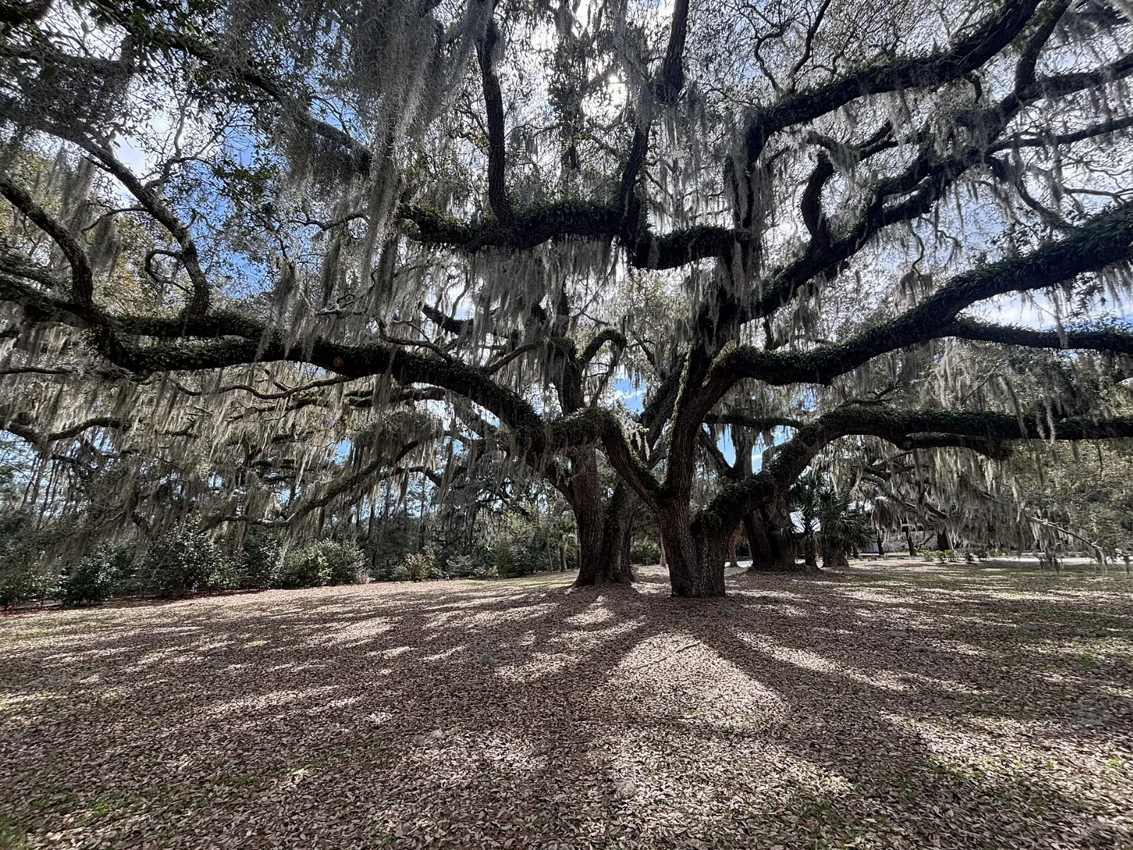 Coastal Discovery Museum at Honey Horn, Hilton Head Island, South Carolina, United States
