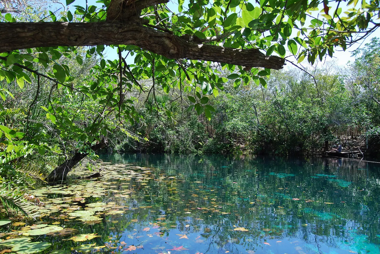 Cave cenote with a shaft of sunlight over the water, Homún, Yucatán