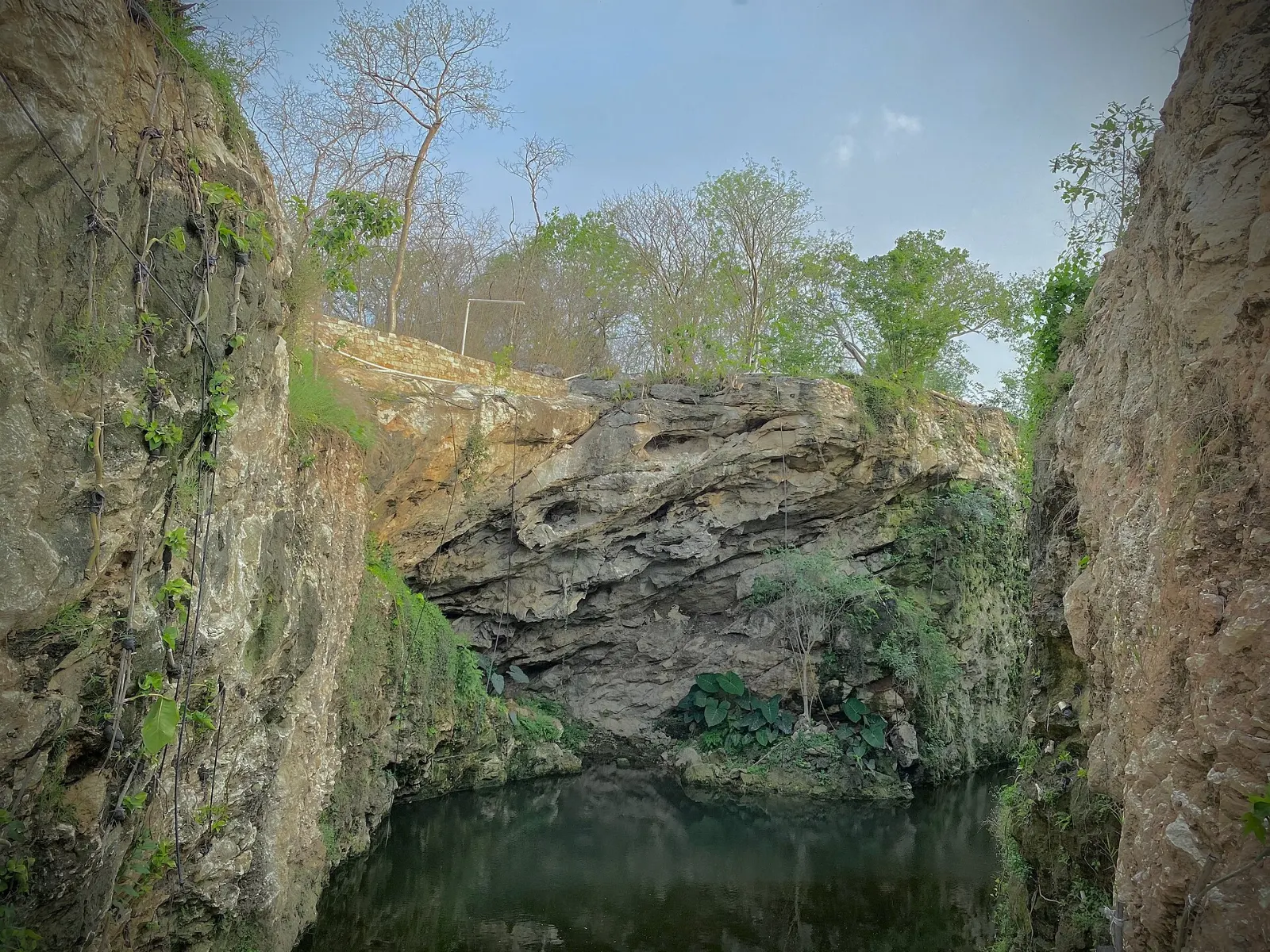 Swimmers in a cenote near Homún, Yucatán