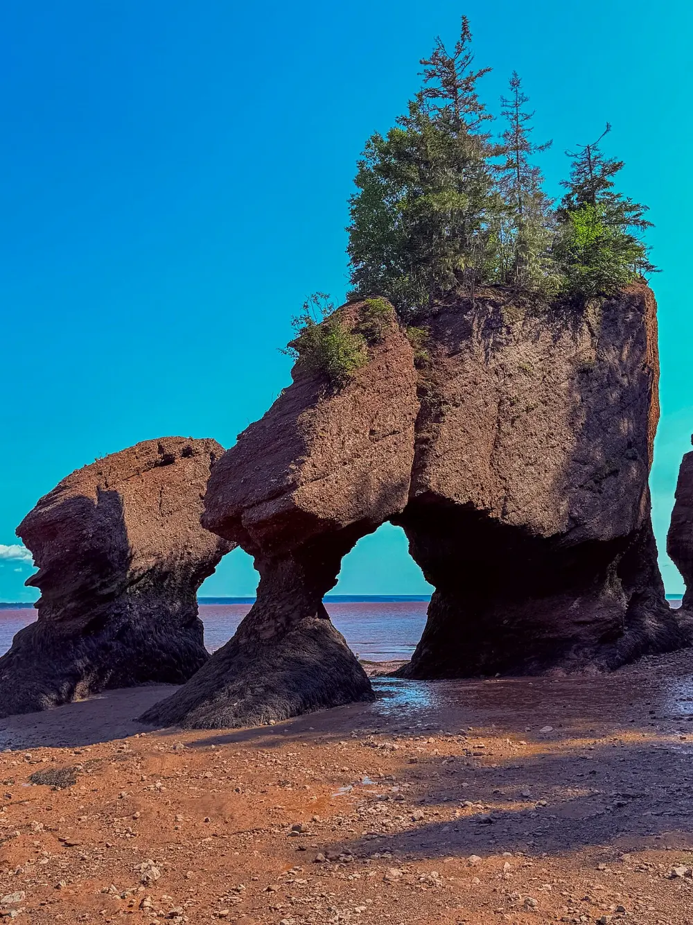 Moncton, Hopewell Rocks, New Brunswick